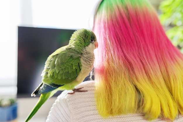 Симптомы аллергии на попугая
