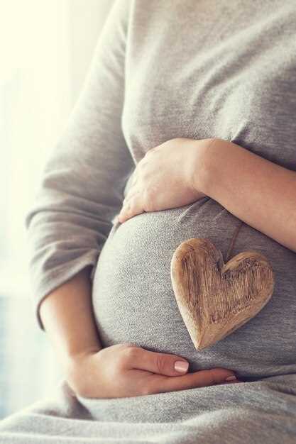 Этапы формирования сердца у эмбриона